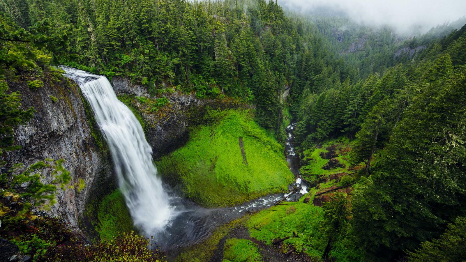 The input photo: waterfall in a green valley